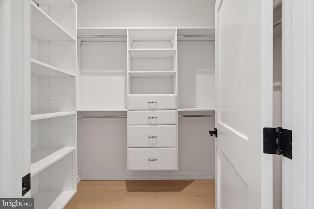 walk in closet with light wood-type flooring