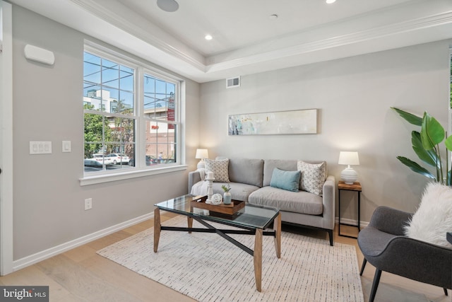 living room featuring ornamental molding, light wood-type flooring, and a raised ceiling