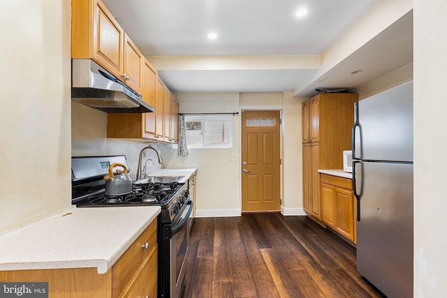 kitchen featuring dark hardwood / wood-style floors, sink, and stainless steel appliances