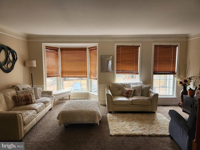 carpeted living room with a wealth of natural light and ornamental molding