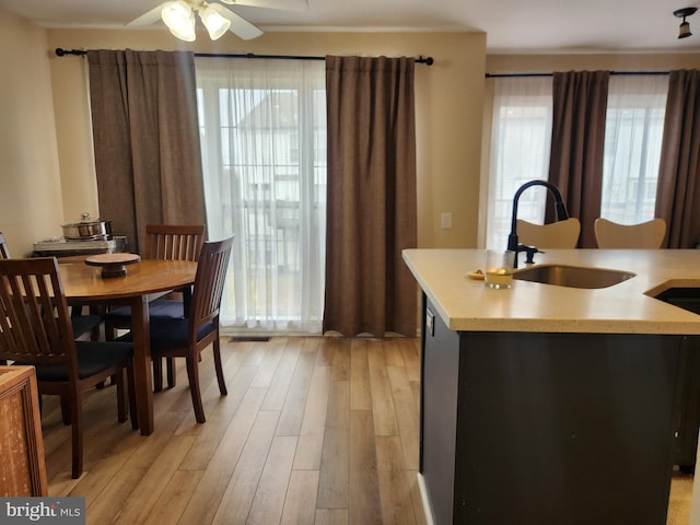 kitchen featuring sink, a healthy amount of sunlight, and light hardwood / wood-style flooring