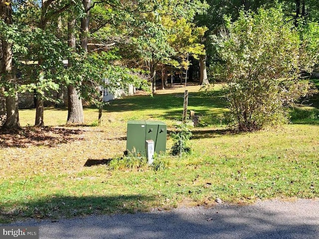 view of community featuring a yard