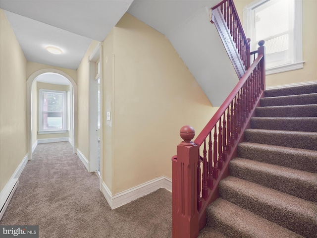 stairway featuring vaulted ceiling and carpet