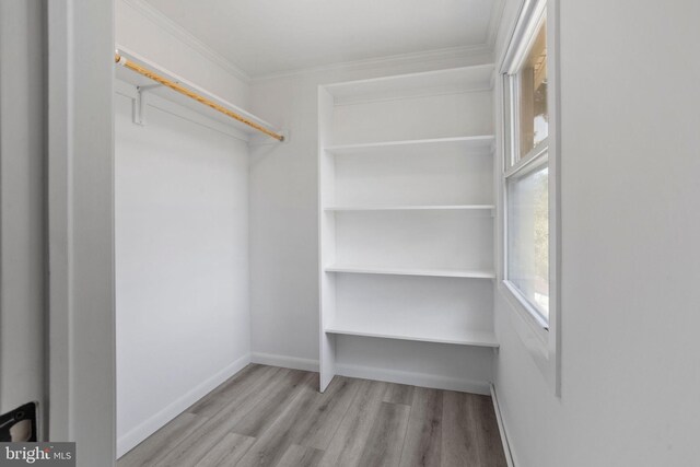 walk in closet with light wood-type flooring