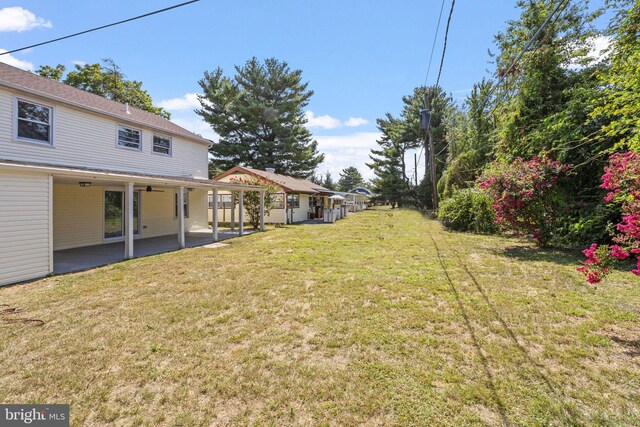 view of yard featuring a patio area