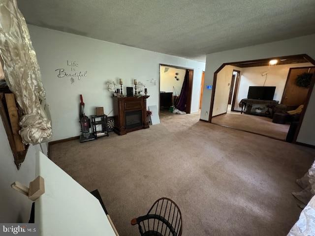 living room featuring carpet floors and a textured ceiling