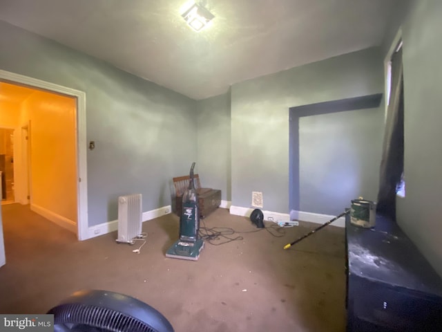 miscellaneous room with carpet