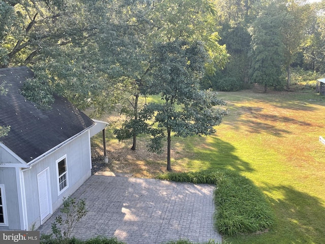 view of yard featuring a patio