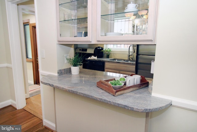 kitchen with wood-type flooring, dishwasher, and sink