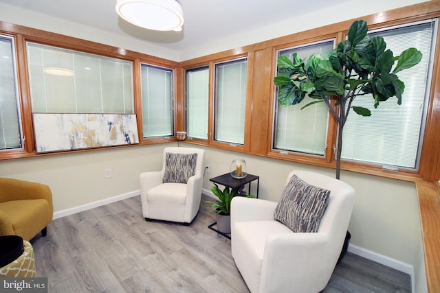 sitting room with light wood-type flooring and a wealth of natural light