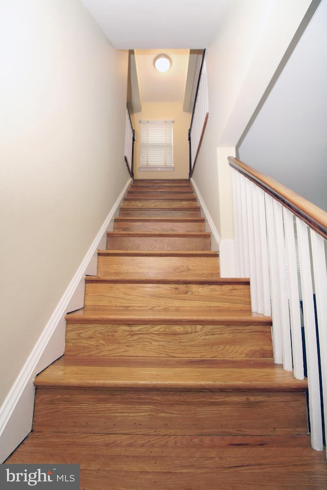 staircase with hardwood / wood-style flooring