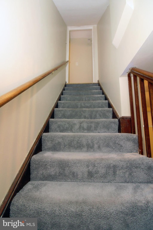 stairs with carpet