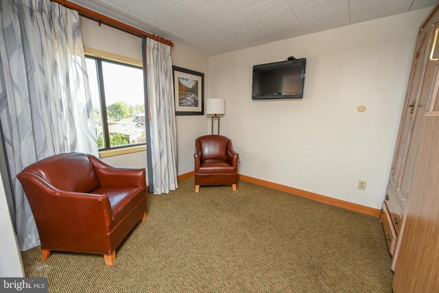 sitting room with carpet flooring