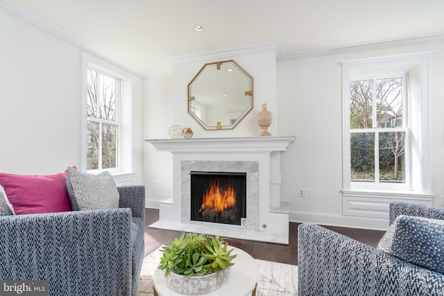 living room featuring ornamental molding, hardwood / wood-style flooring, and a fireplace