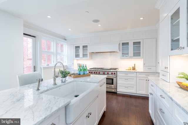 kitchen with dark wood-type flooring, white cabinets, crown molding, stainless steel range, and premium range hood