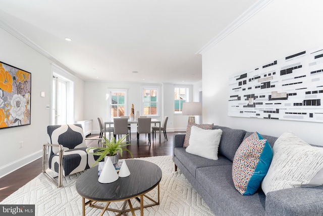 living room with hardwood / wood-style flooring and crown molding