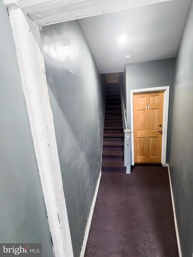 staircase featuring hardwood / wood-style flooring