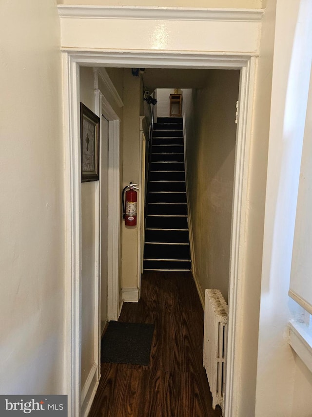 hallway featuring radiator and dark hardwood / wood-style floors