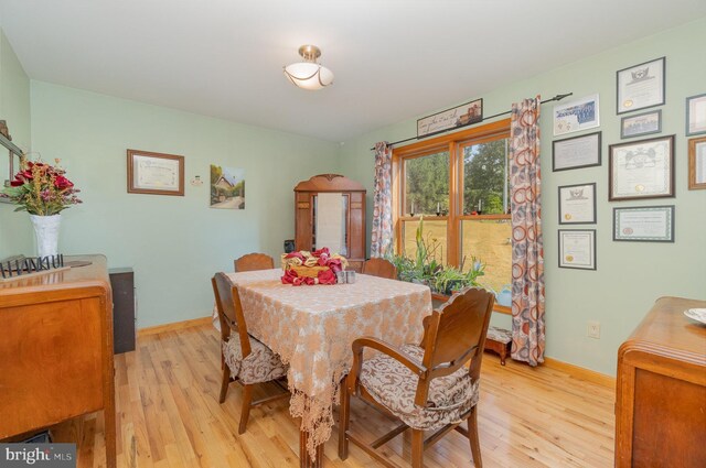 living room with hardwood / wood-style flooring and ceiling fan