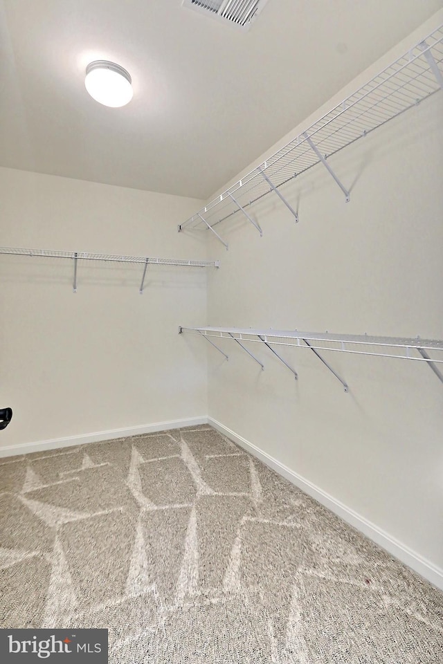 walk in closet with carpet floors