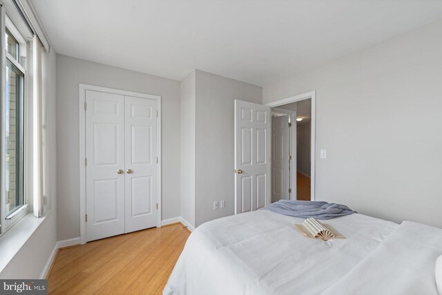 bedroom with a closet, multiple windows, and light hardwood / wood-style flooring