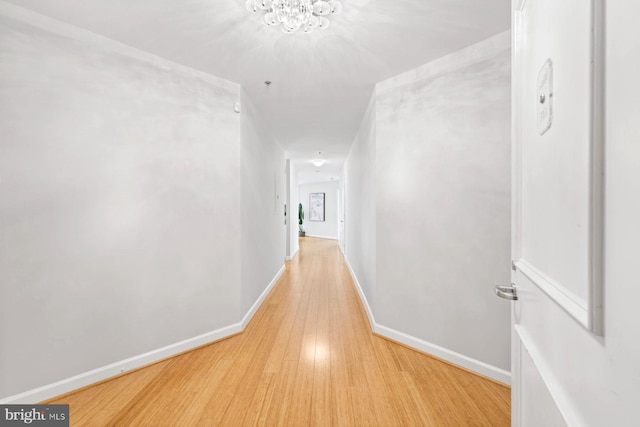 hall featuring light hardwood / wood-style floors