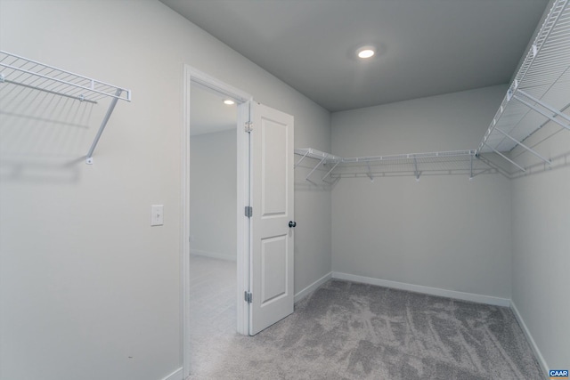 spacious closet featuring carpet