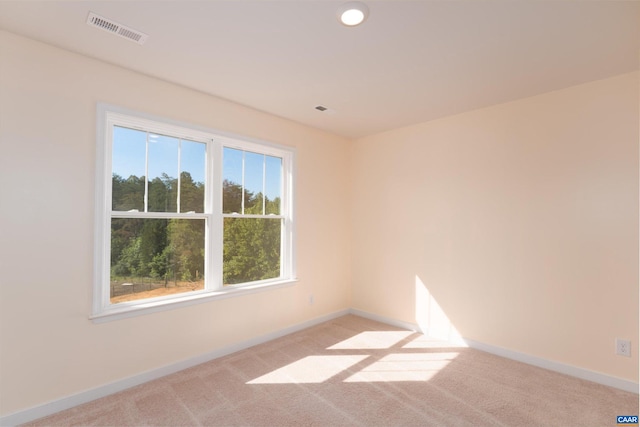 unfurnished room with a wealth of natural light and light carpet