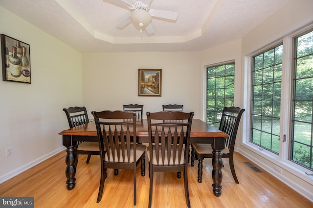 dining room with light hardwood / wood-style floors, a tray ceiling, ceiling fan, and a wealth of natural light