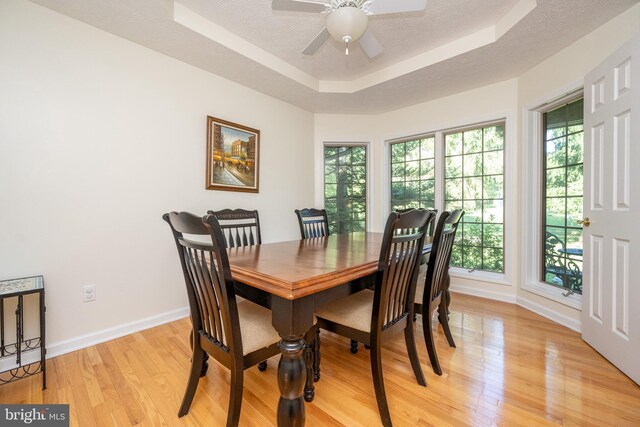 dining area featuring ceiling fan, a textured ceiling, a raised ceiling, and light hardwood / wood-style floors