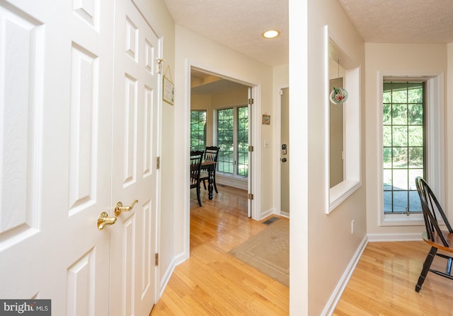 corridor with a textured ceiling, light wood-type flooring, and a wealth of natural light