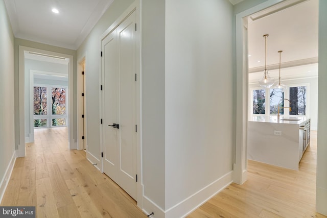 corridor with crown molding, sink, and light hardwood / wood-style floors