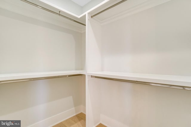 walk in closet featuring light hardwood / wood-style floors