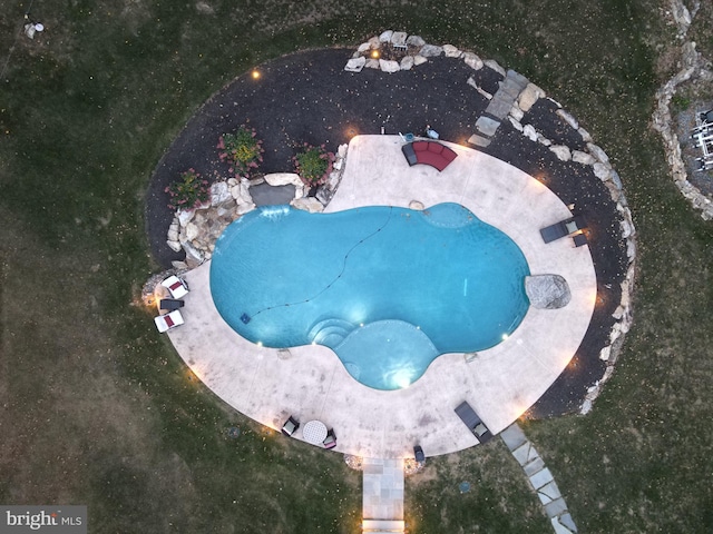 view of swimming pool featuring a patio