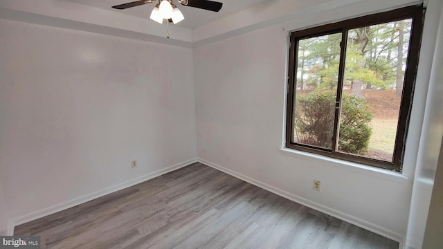 spare room with ceiling fan and wood-type flooring