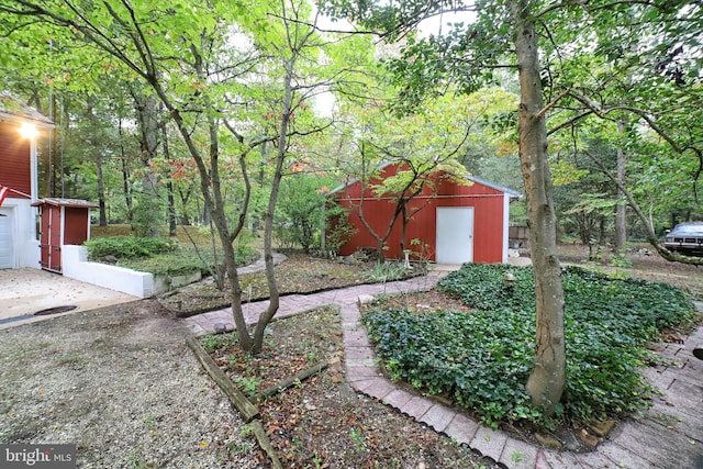 view of yard with a shed