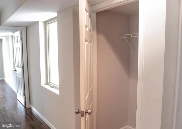 view of closet