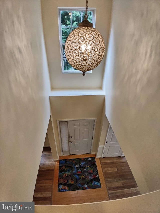 entrance foyer with dark hardwood / wood-style flooring and a high ceiling