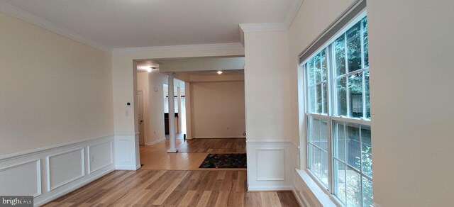 corridor with light wood-type flooring, ornamental molding, and a wealth of natural light