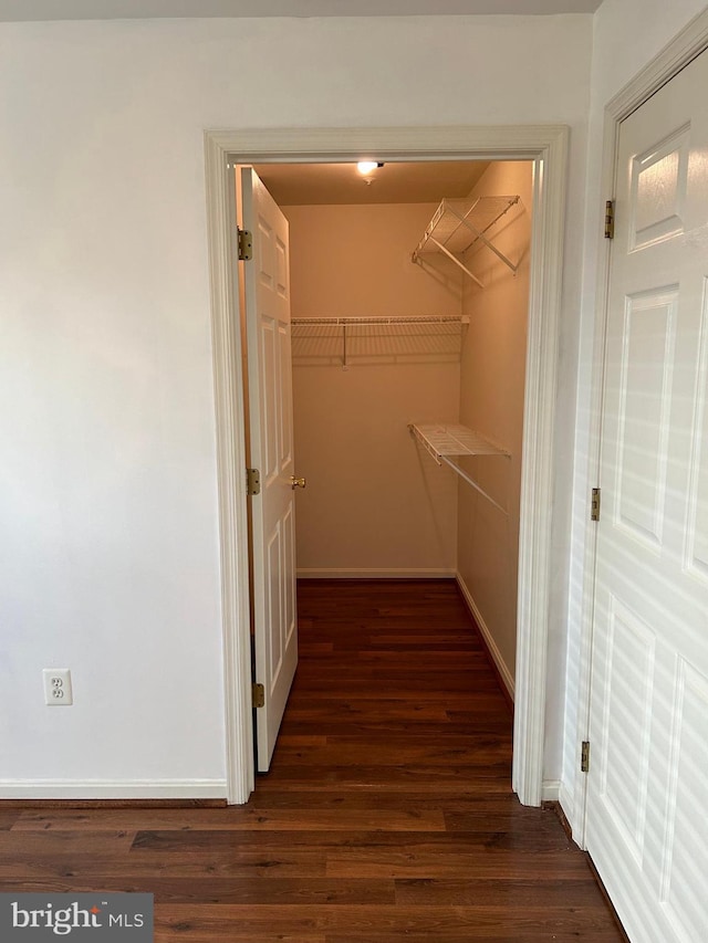 walk in closet featuring dark hardwood / wood-style flooring