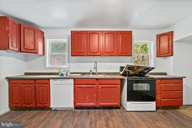 kitchen with white appliances, dark hardwood / wood-style floors, and sink