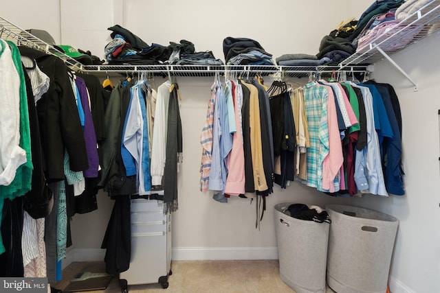 spacious closet featuring carpet