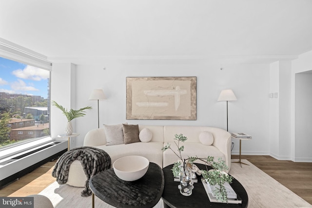 living room featuring wood-type flooring