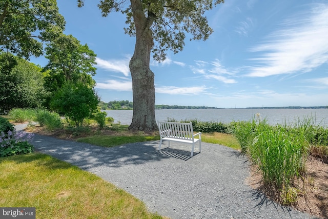 view of property's community featuring a water view