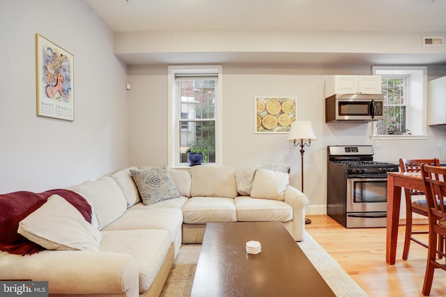 living room with light wood-type flooring and a wealth of natural light