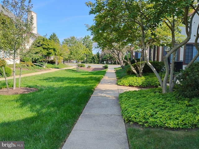 view of property's community with a yard