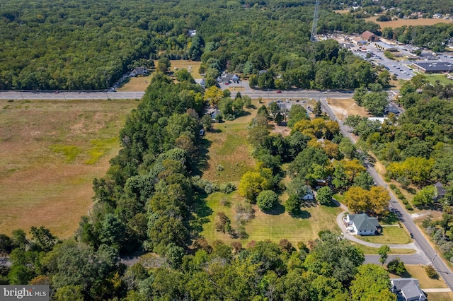 bird's eye view