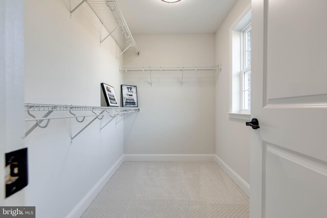 spacious closet with light colored carpet