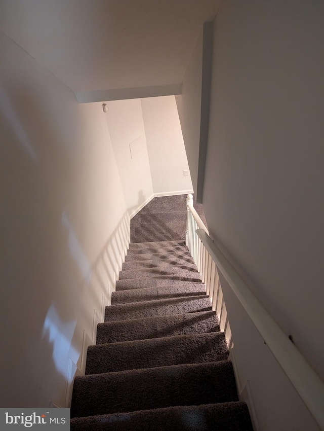 stairway with carpet flooring