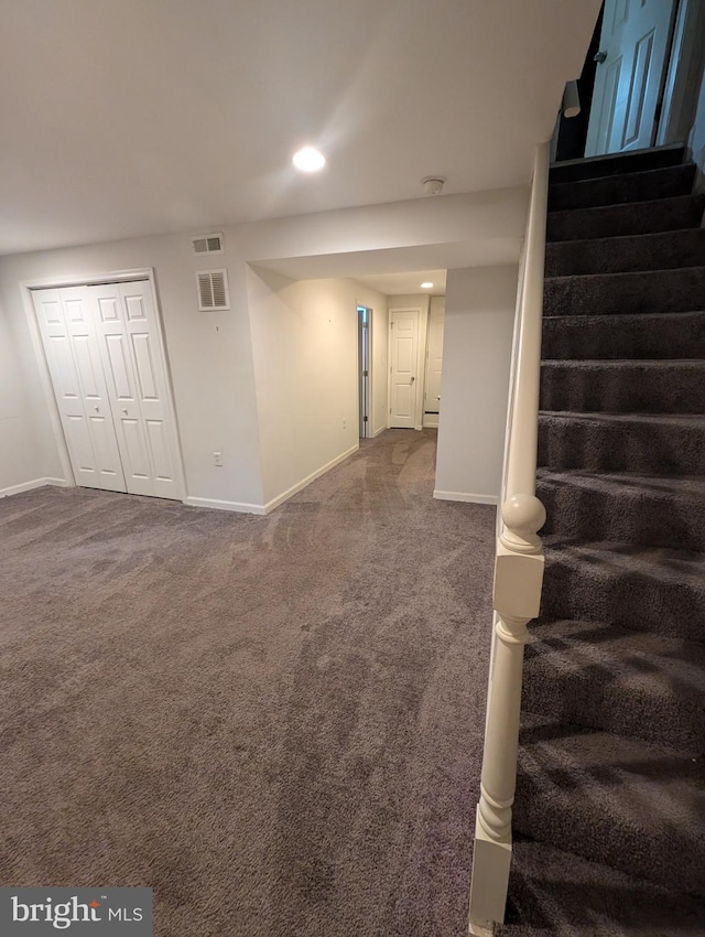 basement featuring carpet floors